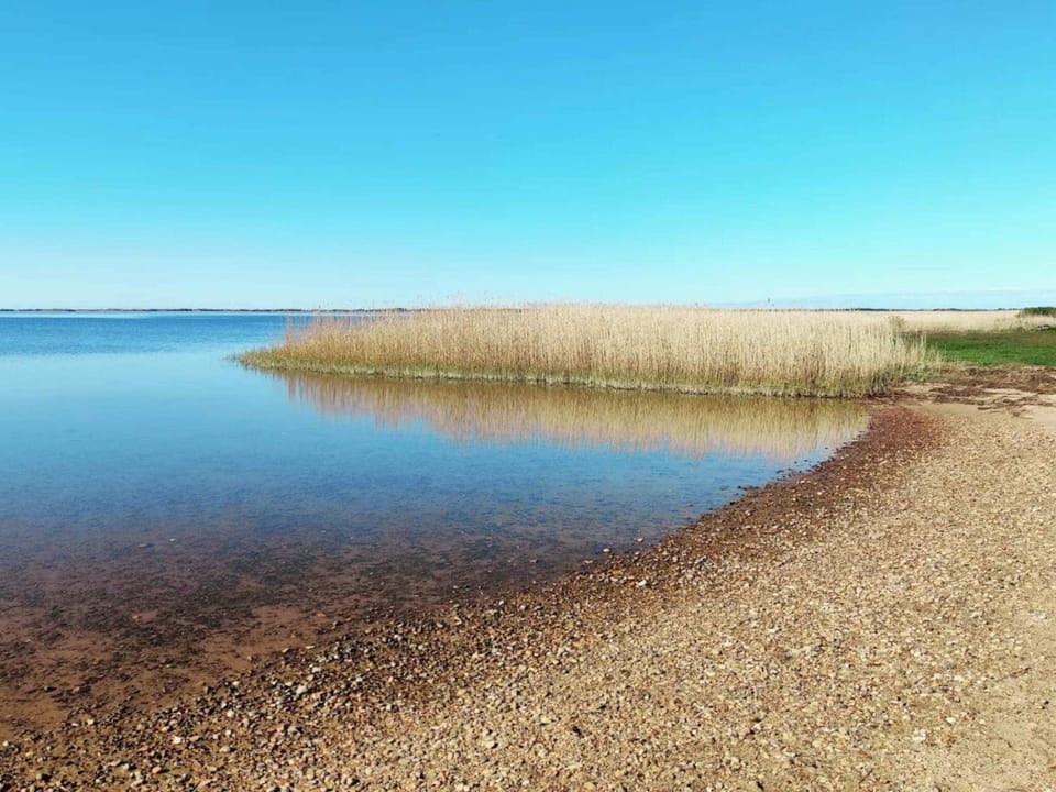 Lake view
