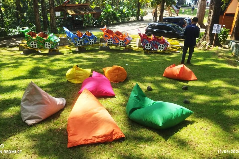 Day, Garden