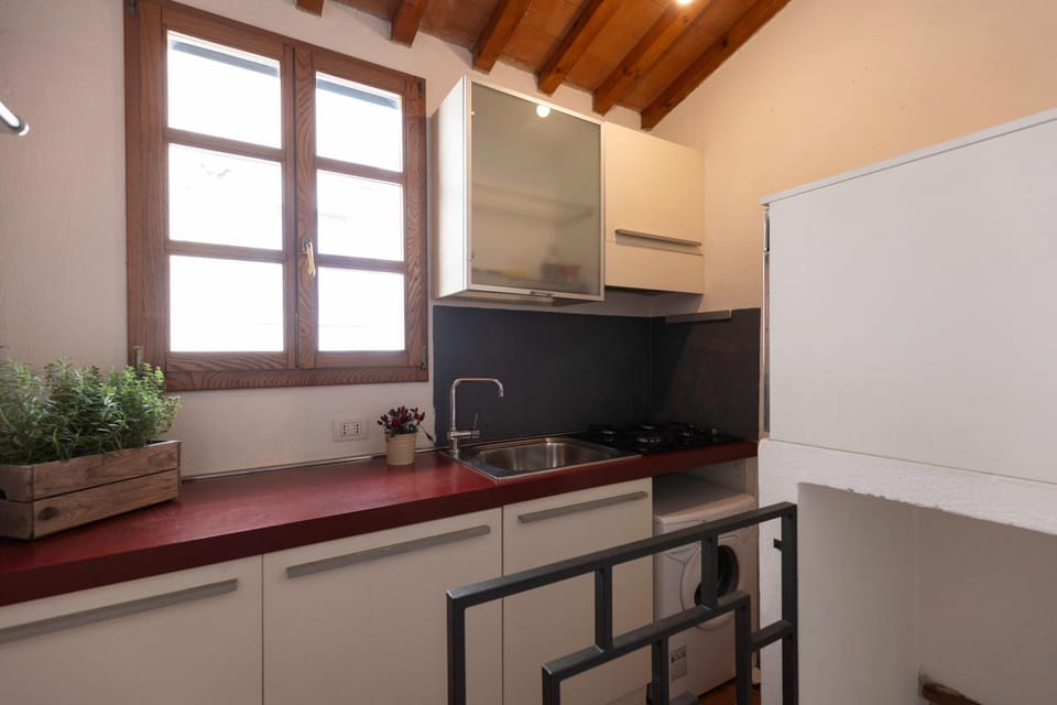 oven, stove