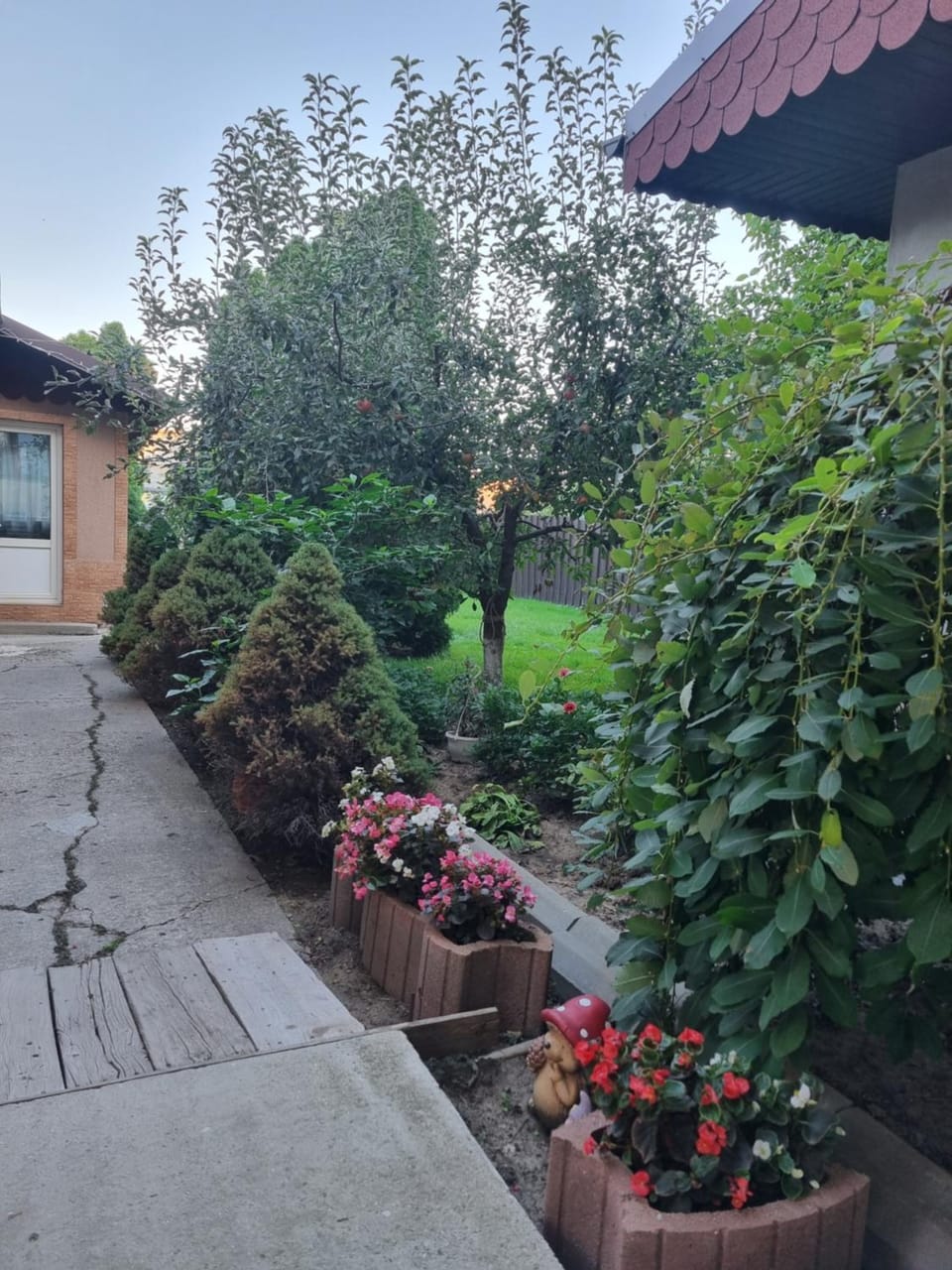 Pensiunea Vis Braila Bed and Breakfast in Romania