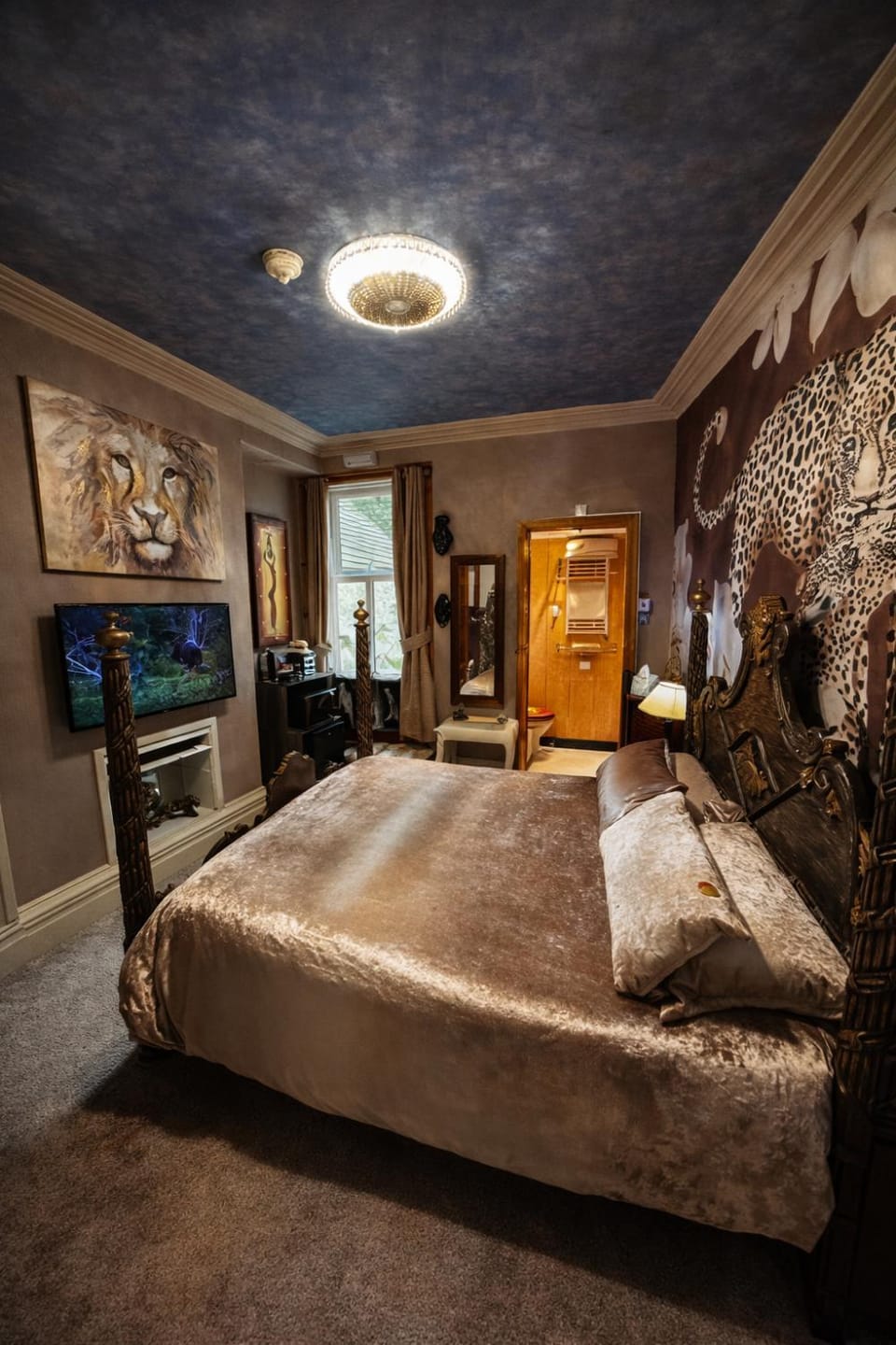 Photo of the whole room