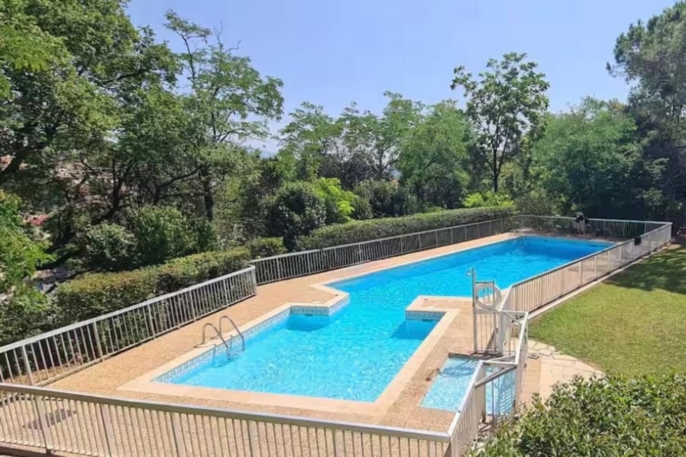 Summer, Garden view, Swimming pool
