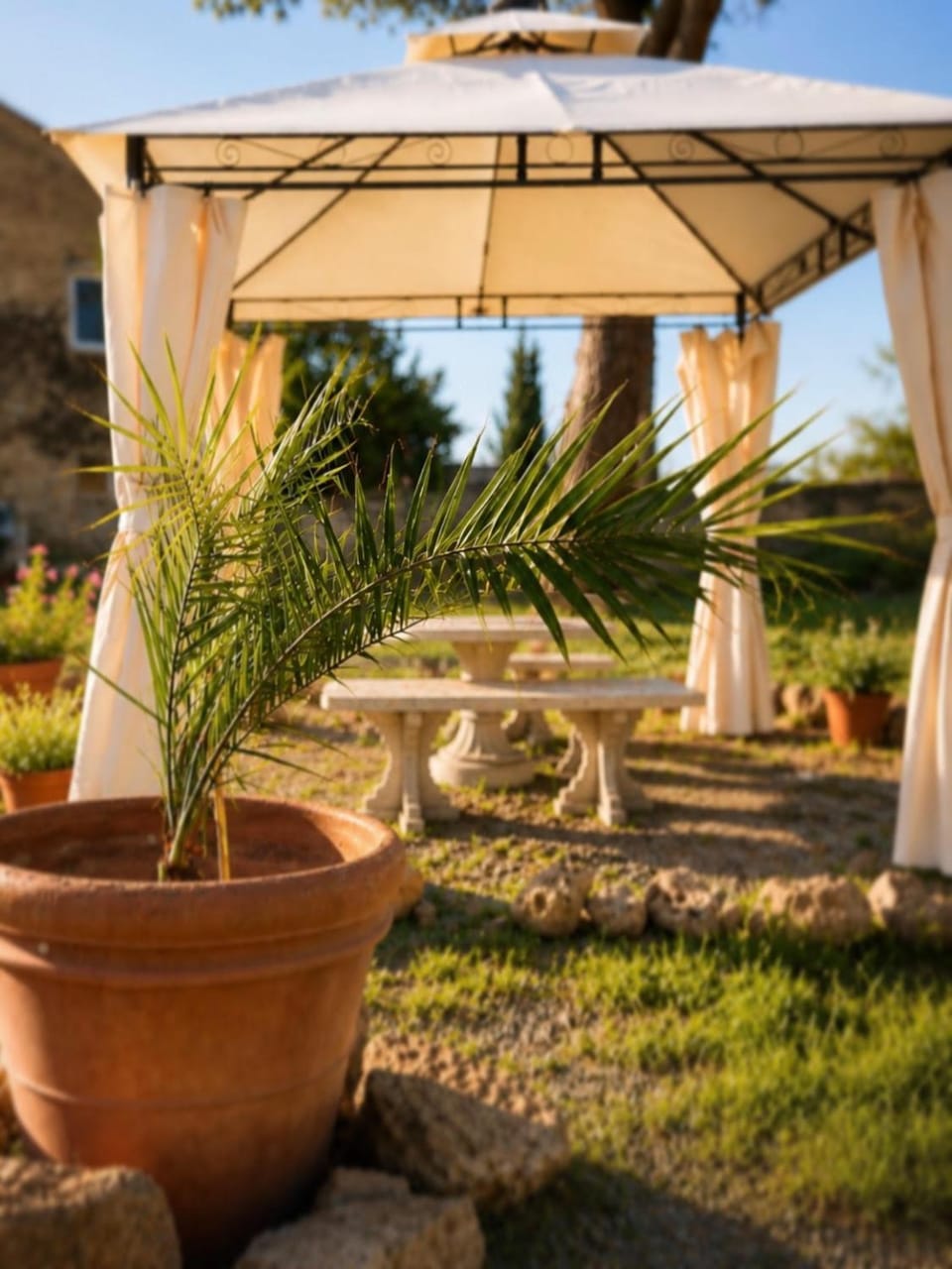Patio, Garden