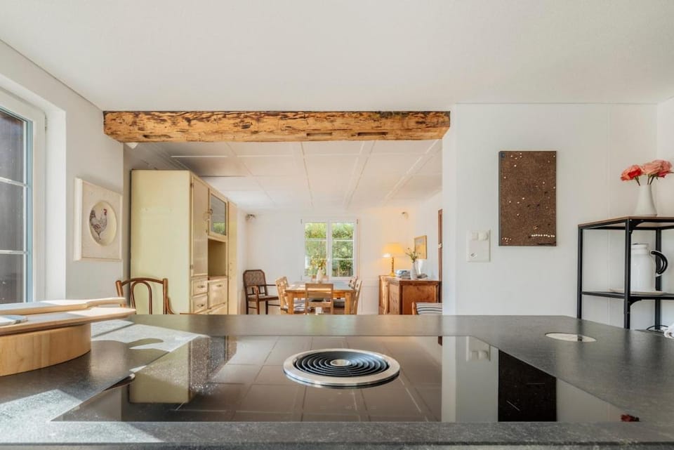 Das aussergewöhnliche Gäste- und Ferienhaus House in Baden-Württemberg