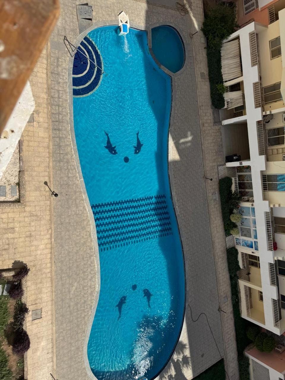 Swimming pool, Swimming pool