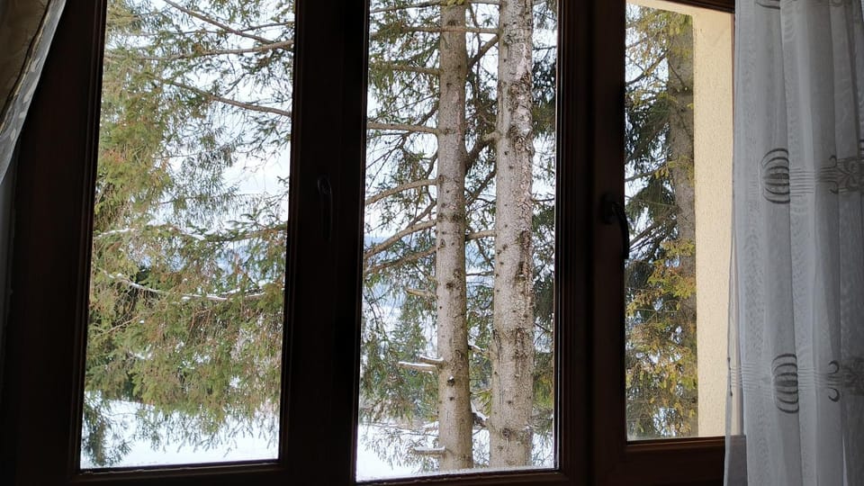 View (from property/room), View (from property/room)