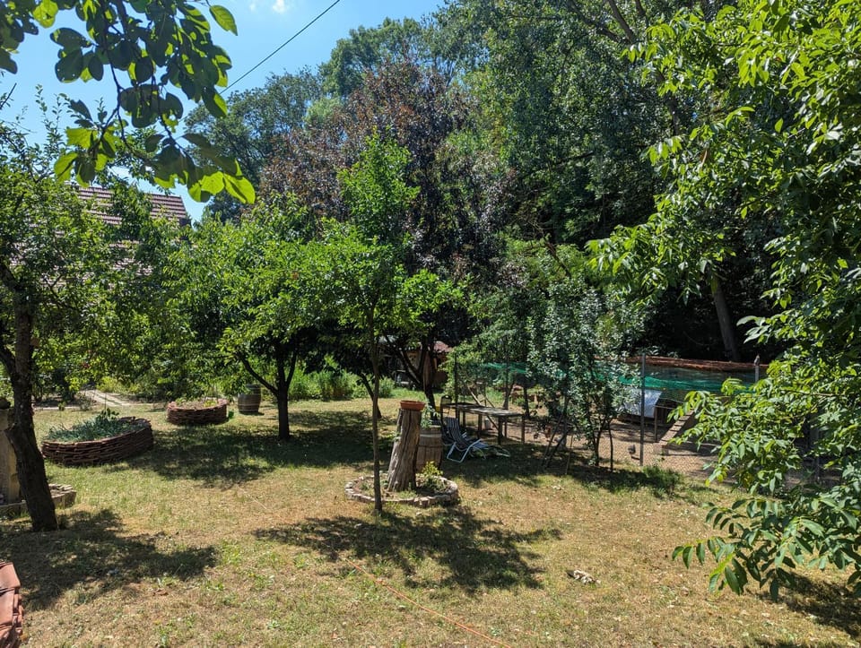 Garden view