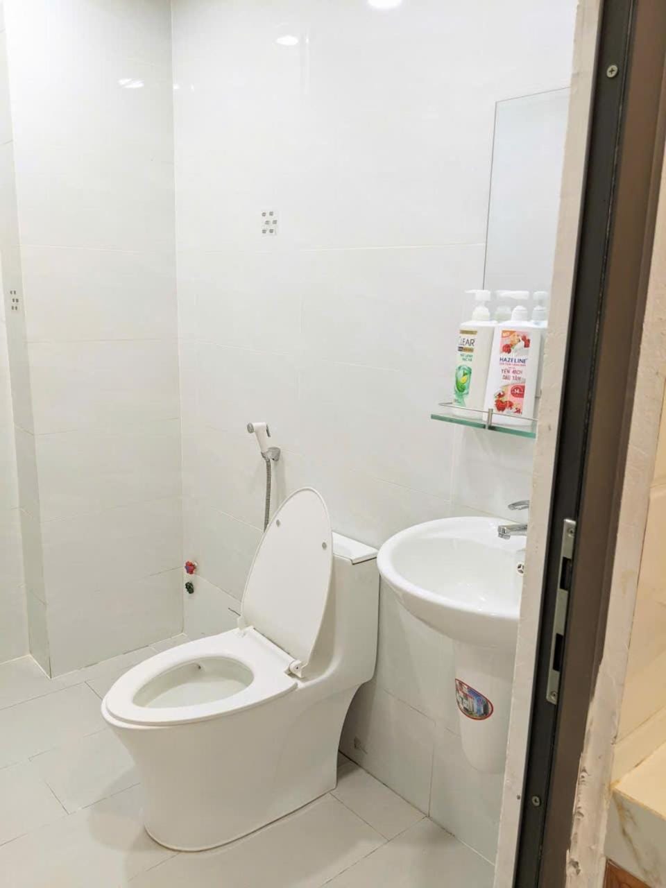 Toilet, Bathroom, bidet