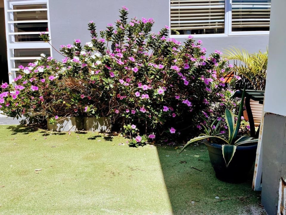 Garden, Garden view