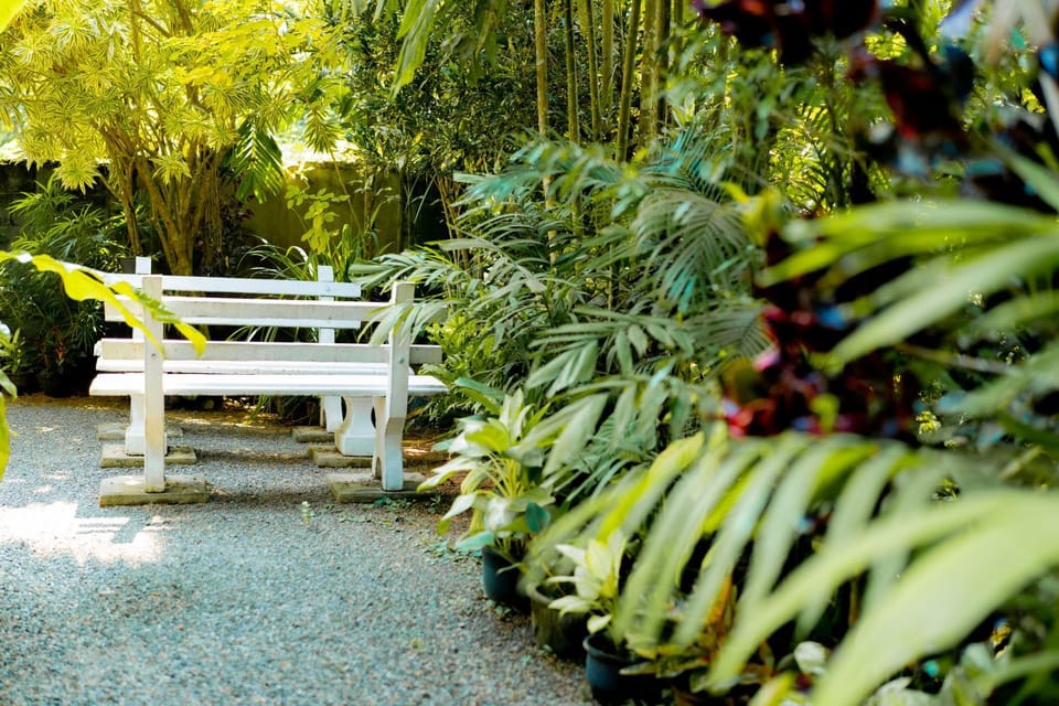 Day, Natural landscape, Garden view