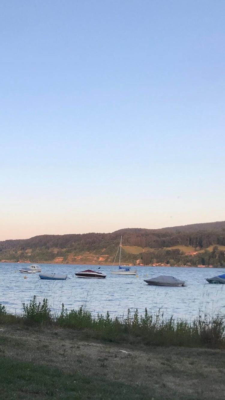 Gemütliche grosse 2 Zimmer Wohnung mit grosser Terasse in Seenähe, Höristrasse 8 in 78343 Gaienhofen Apartment in Gaienhofen