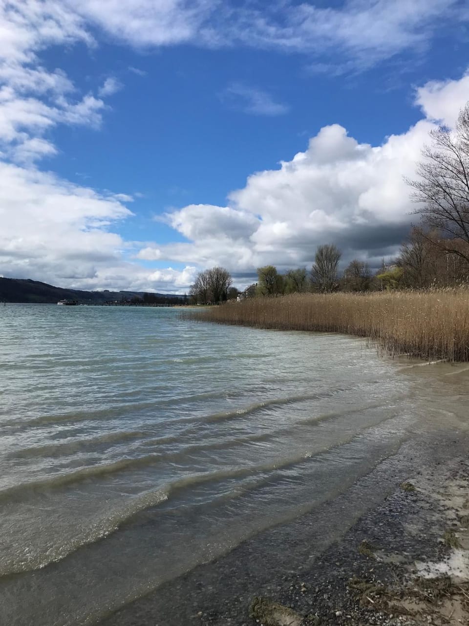 Gemütliche grosse 2 Zimmer Wohnung mit grosser Terasse in Seenähe, Höristrasse 8 in 78343 Gaienhofen Apartment in Gaienhofen