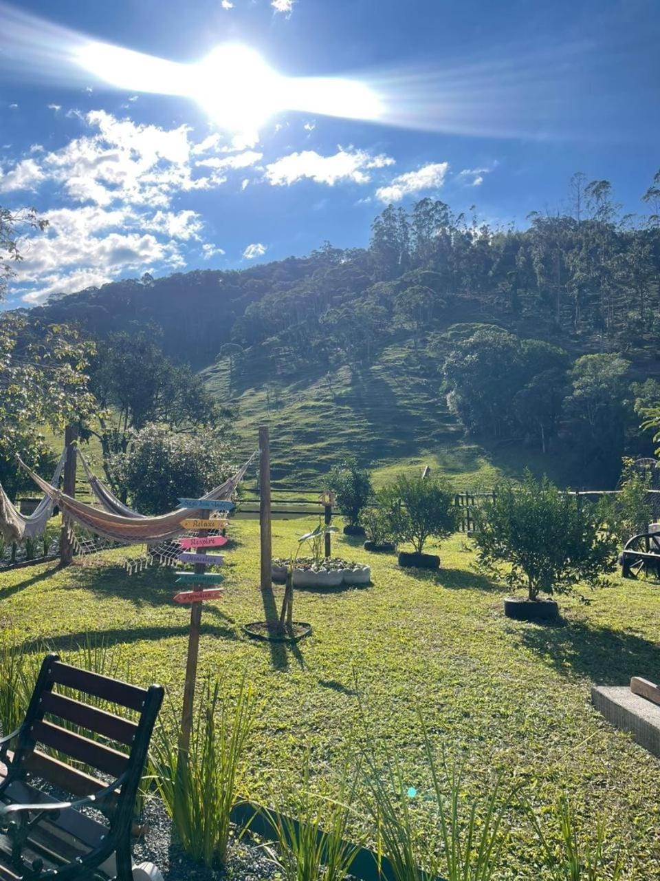 Garden, Garden view