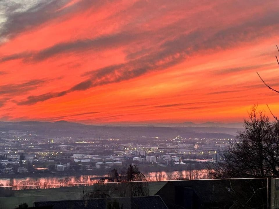 Luxury house with exclusive views Villa in Koblenz