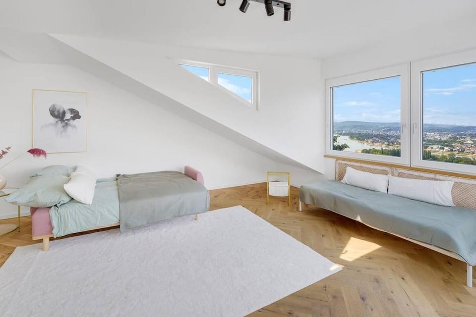 Luxury house with exclusive views Villa in Koblenz