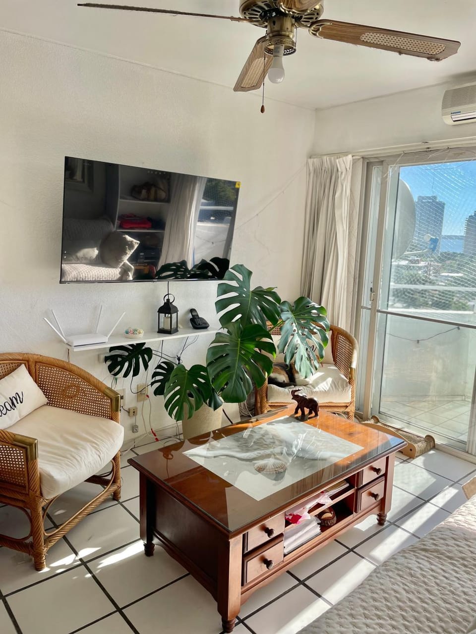 TV and multimedia