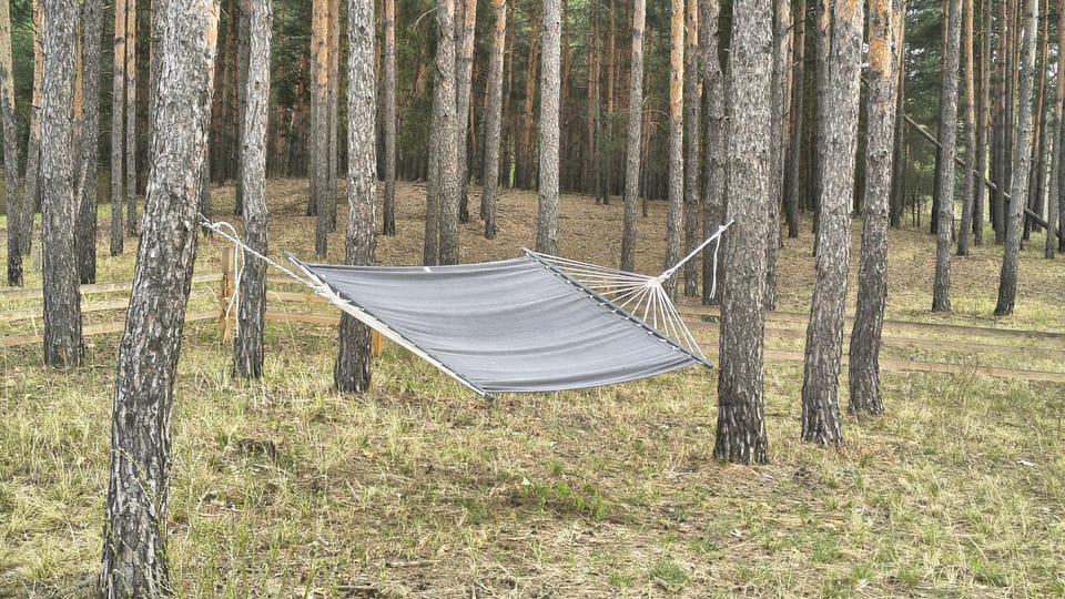 Natural landscape, On site, Area and facilities