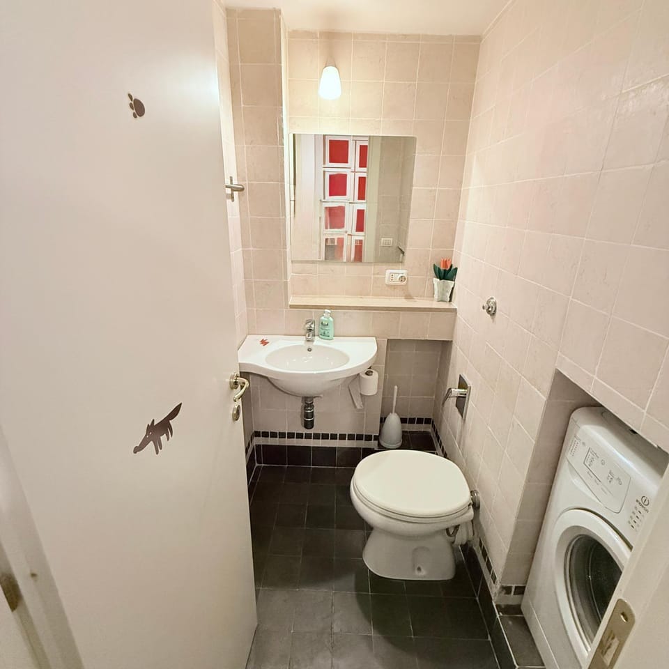 Toilet, Bathroom, towels, washing machine