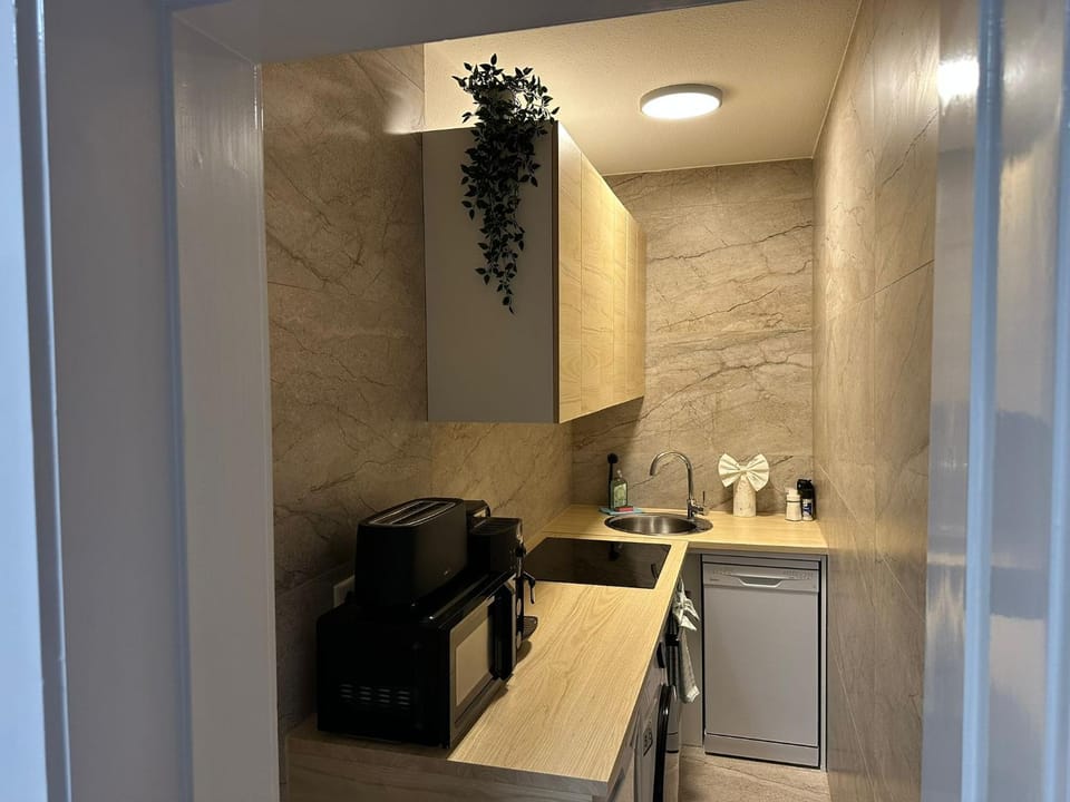 Coffee/tea facilities, Kitchen or kitchenette, dishwasher, internet, microwave, oven, stove, toaster, washing machine, kitchen