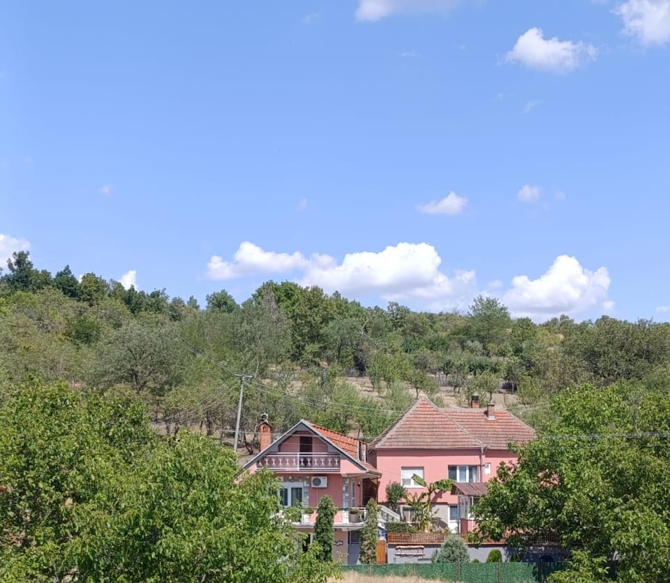 Property building, Spring