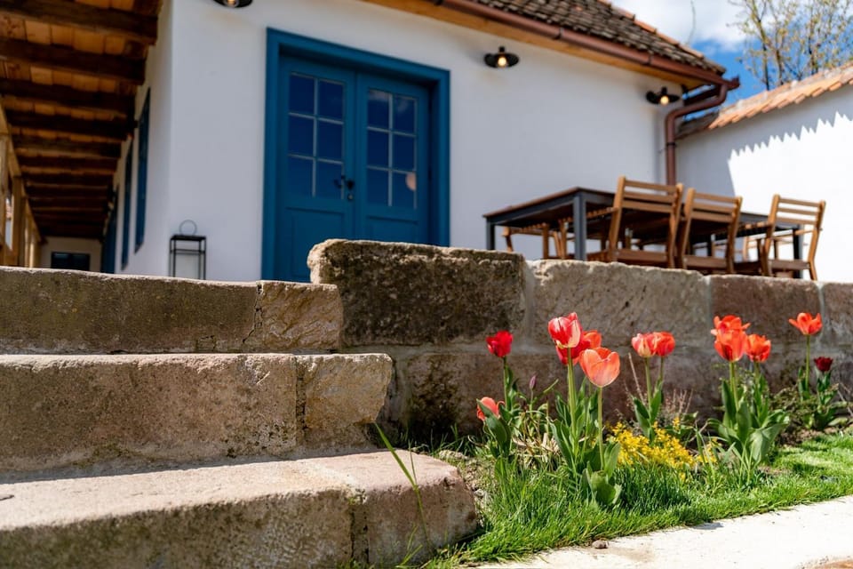 Property building, Patio, Spring, Day, Garden, Garden view