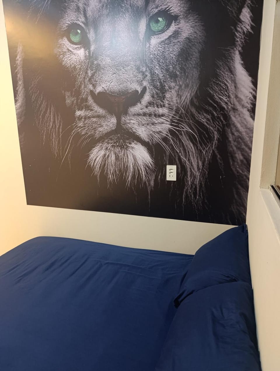 Espaço jr Apartment in State of São Paulo