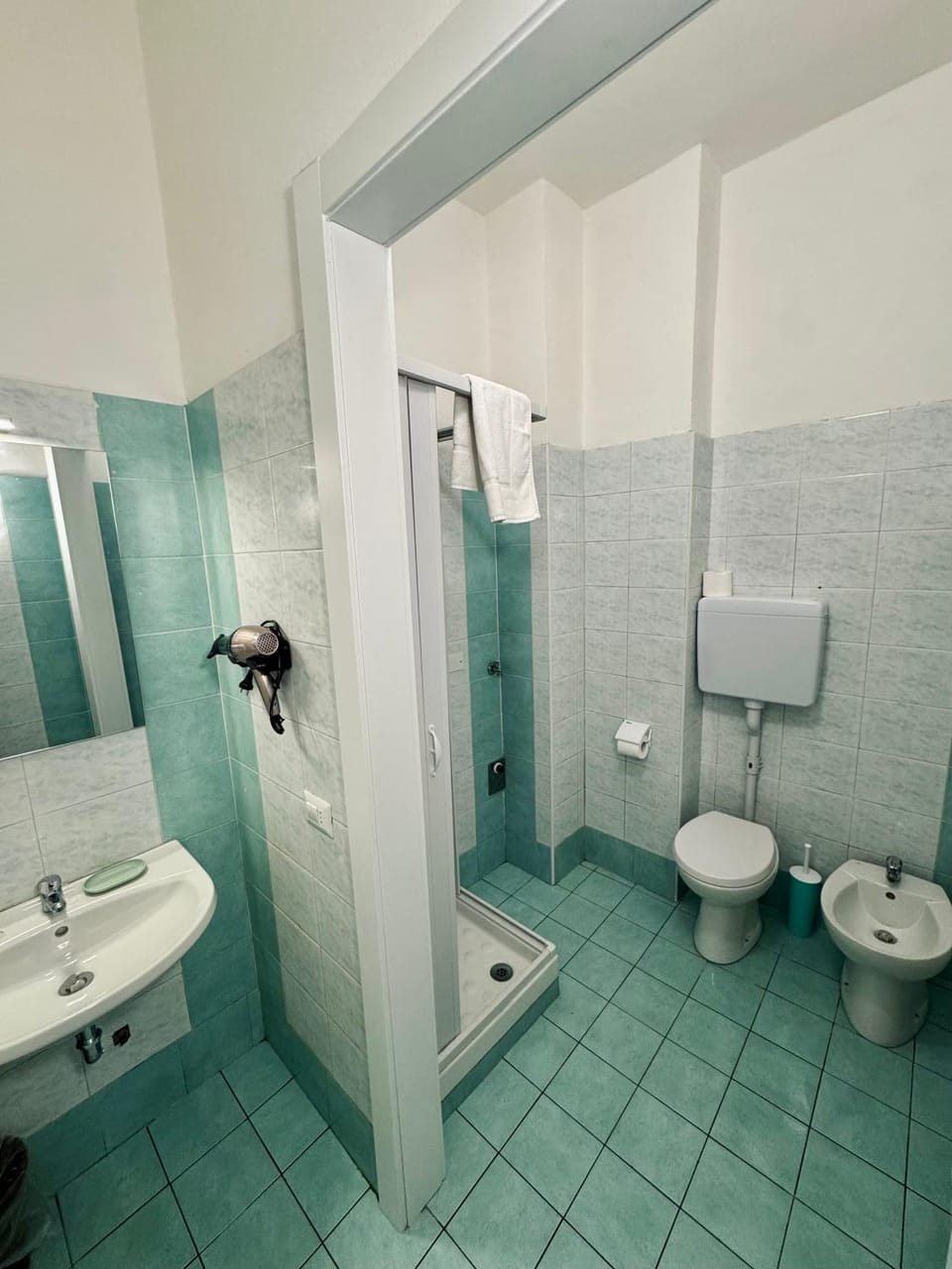 Shower, Toilet, Bathroom, bidet