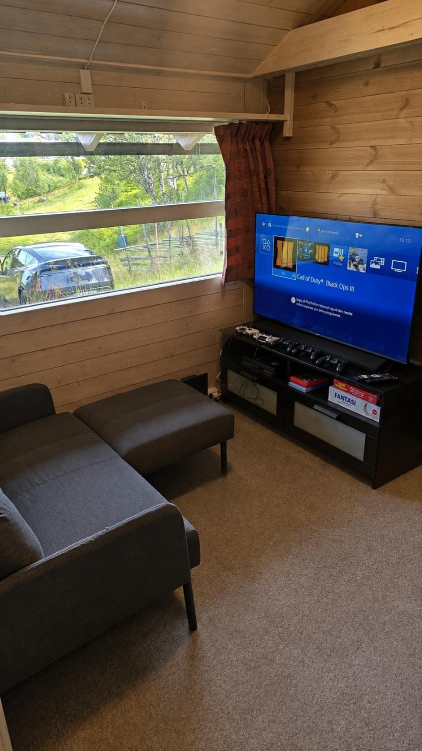 Utsikt mot fjellene Ski in out 16 sengeplasser House in Viken, Norway