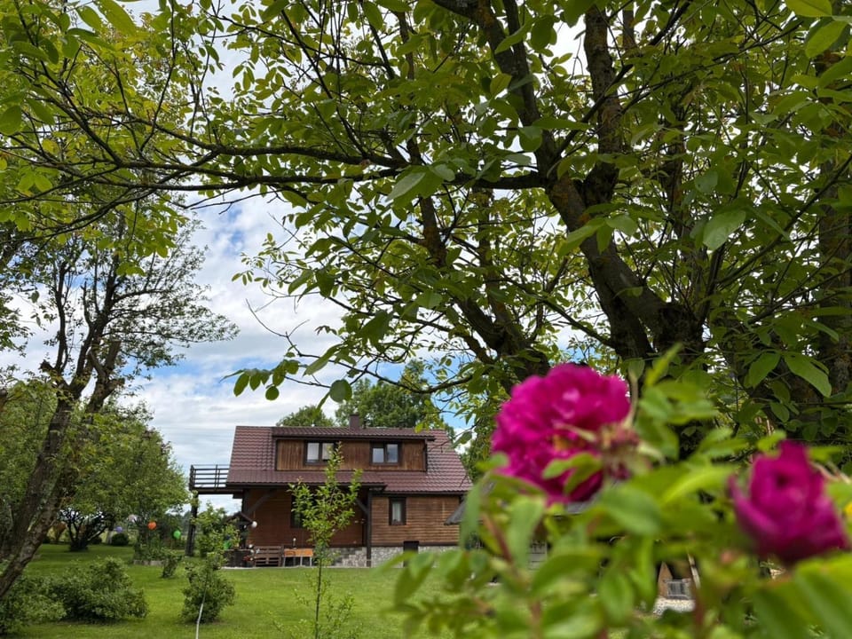 Agroturystka Dom w Owocowym Sadzie Apartment in Poland