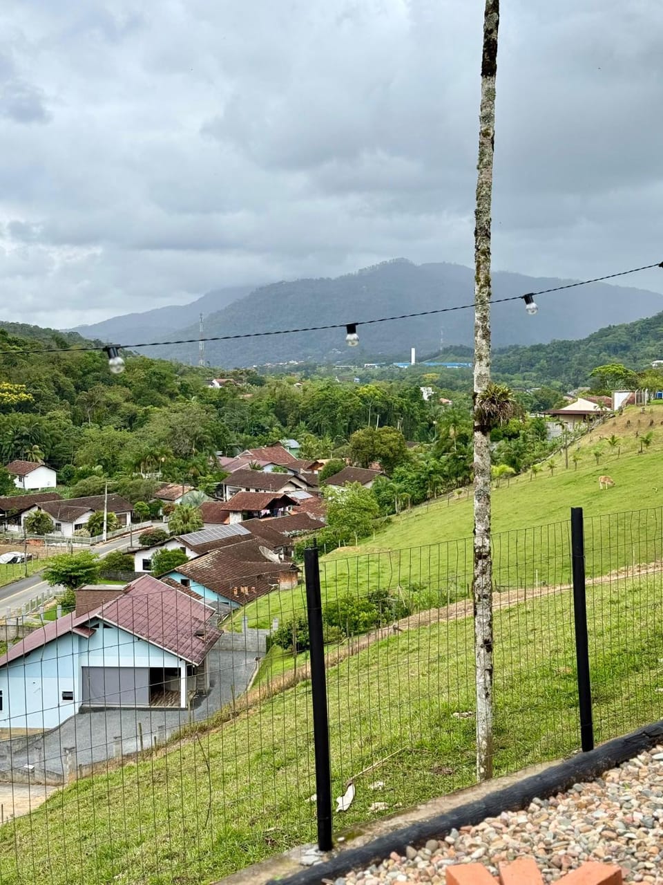 View (from property/room)