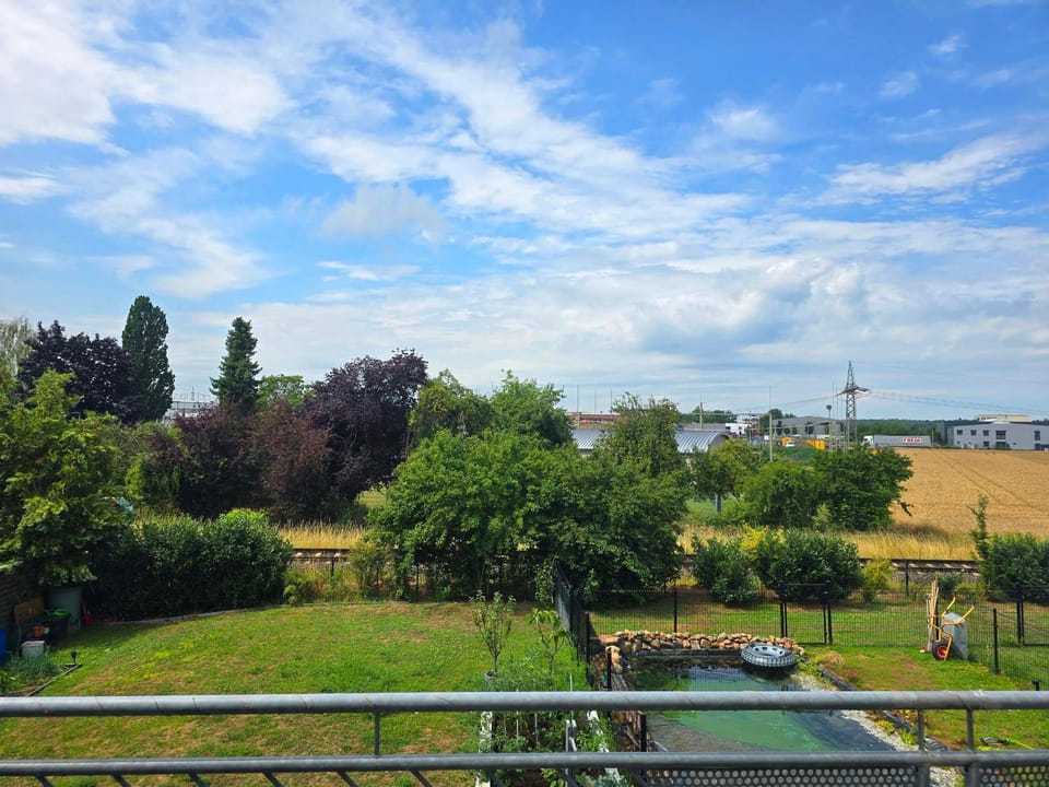 Natural landscape, Garden view