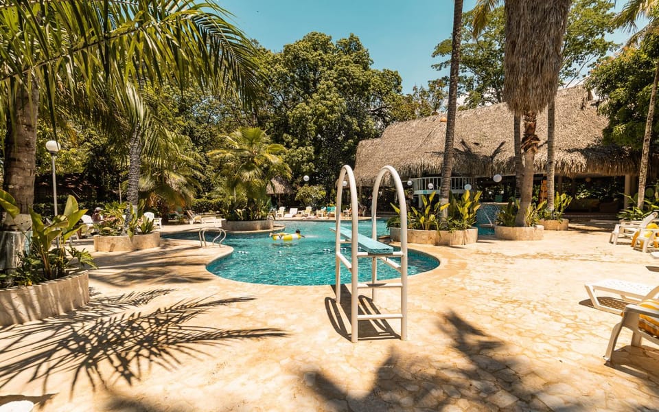 Garden, Pool view, Swimming pool, Swimming pool