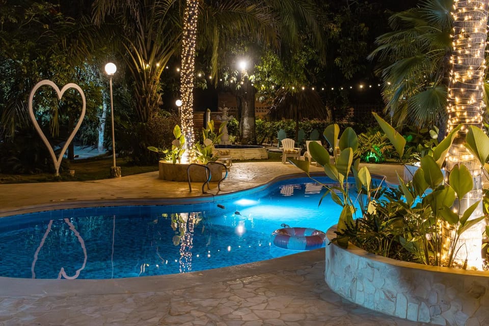 Night, Garden, Garden view, Pool view, Swimming pool, Swimming pool