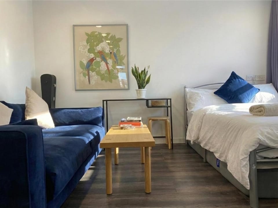 Bed, Living room, Photo of the whole room, Seating area, Bedroom