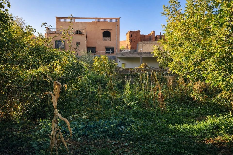 Chez BABAYO BY DADES House in Morocco