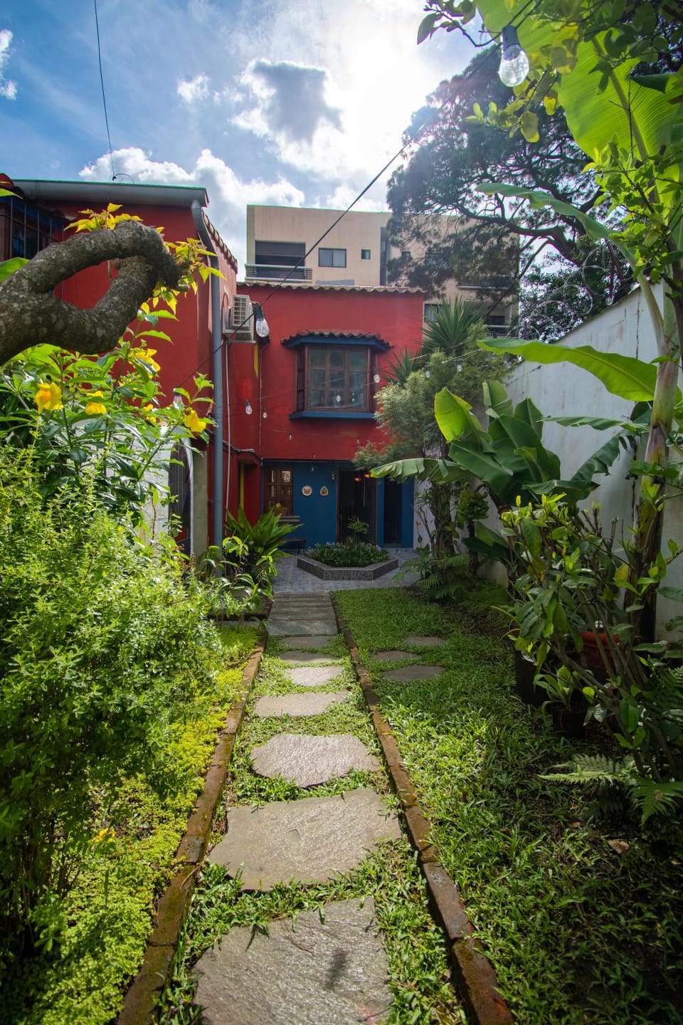 Garden