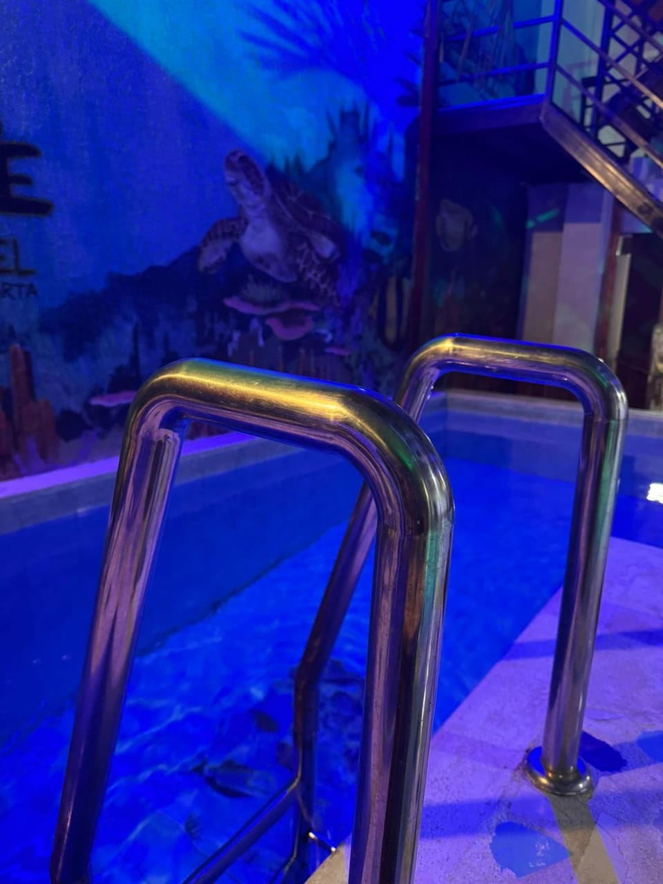 Pool view, Swimming pool