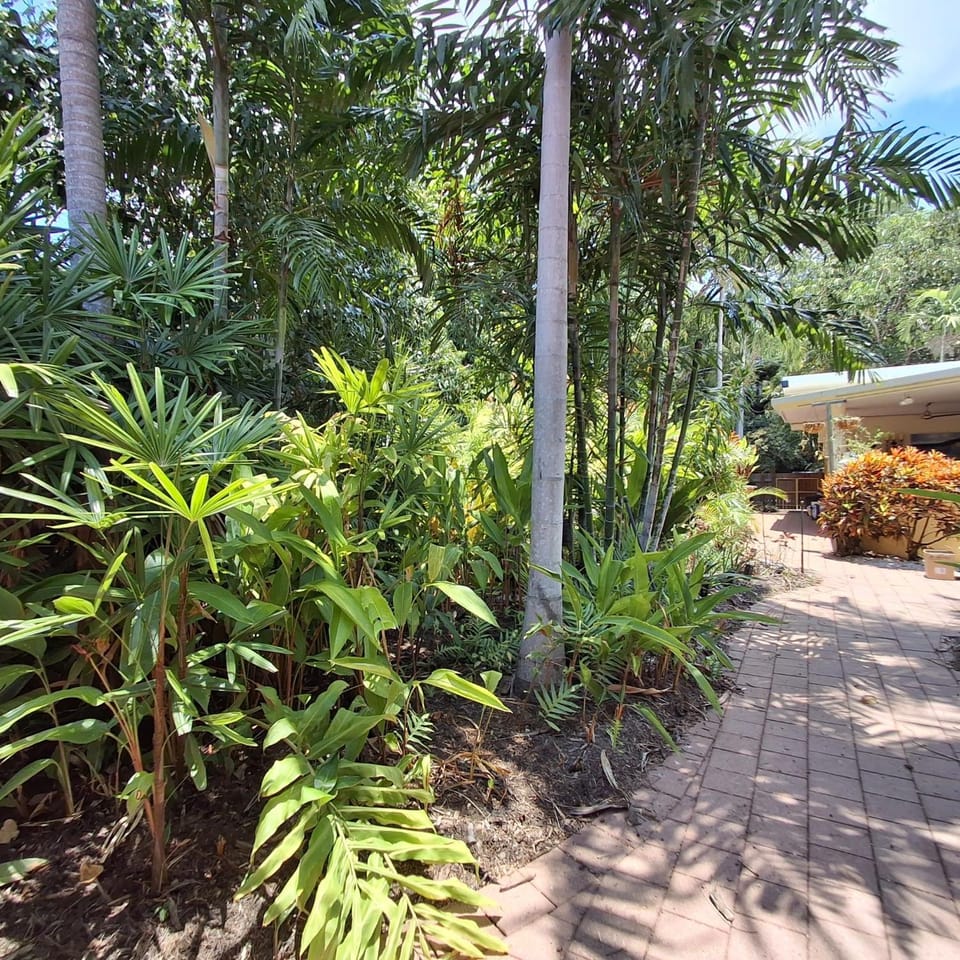 Garden view