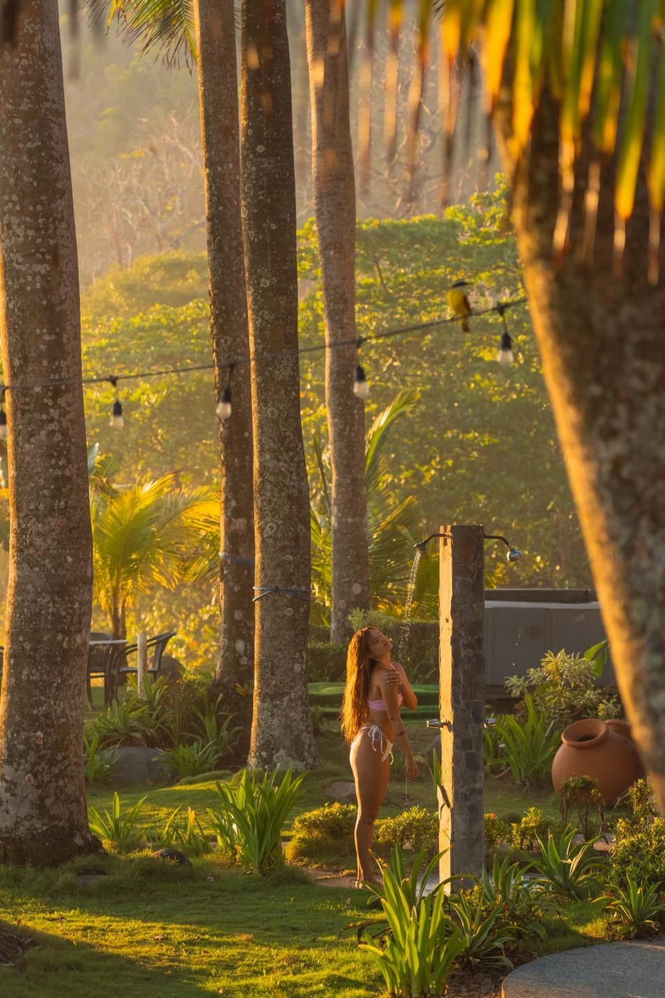 Garden view