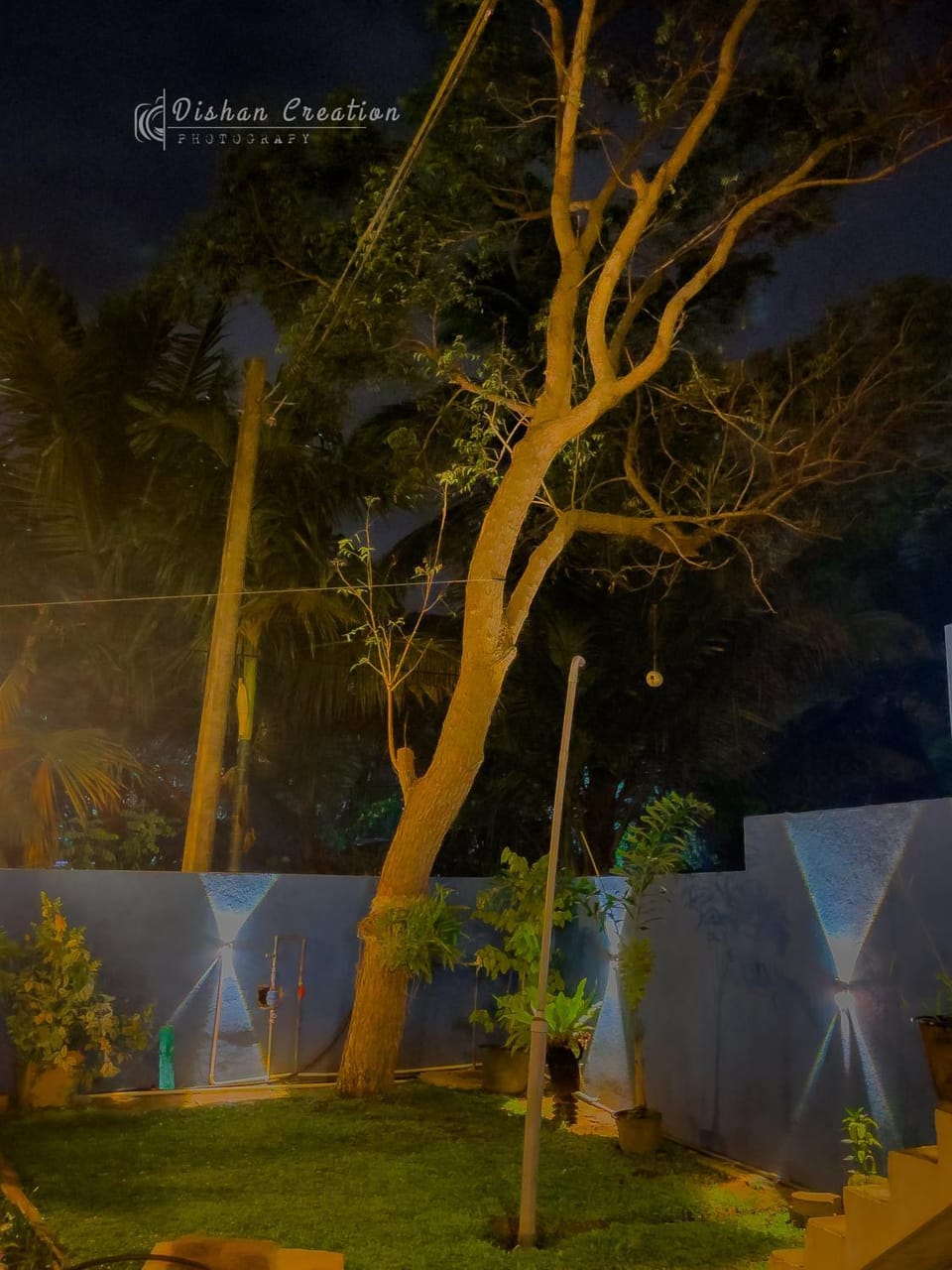 Night, Garden view