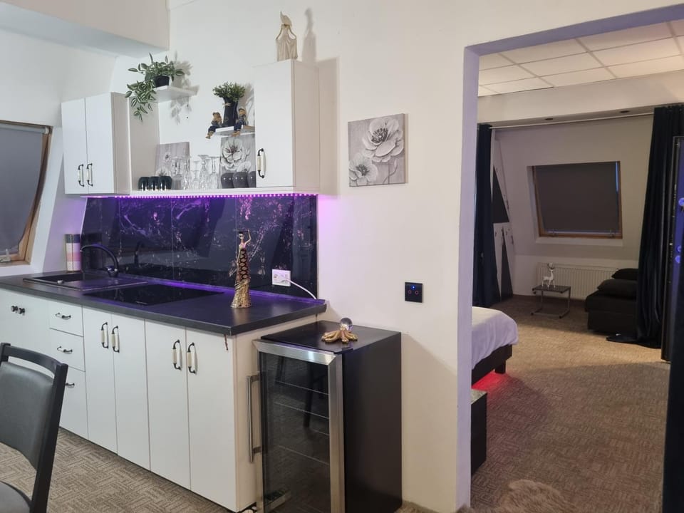 Garsoniera Luxury central 2 Apartment in Craiova