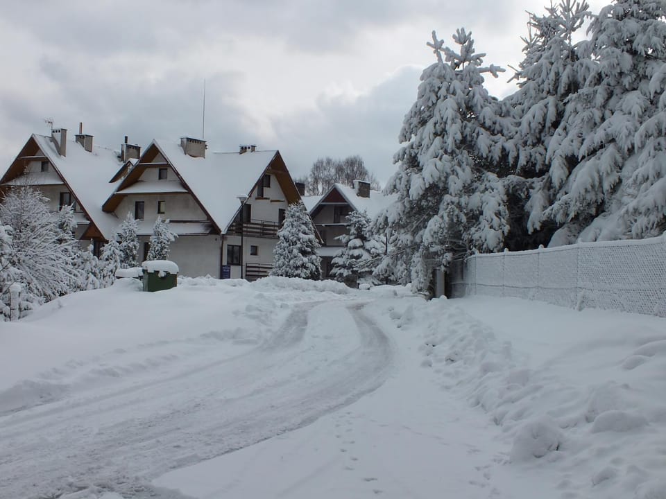 Off site, Day, Neighbourhood, Natural landscape, Winter, Garden, On site