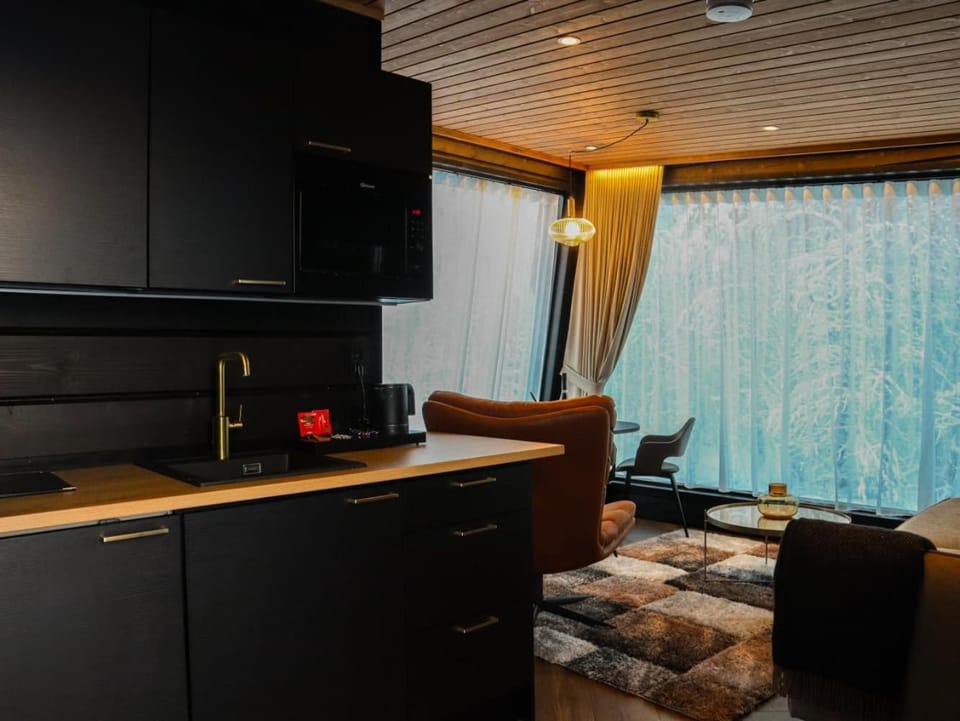 Kitchen or kitchenette, kitchen