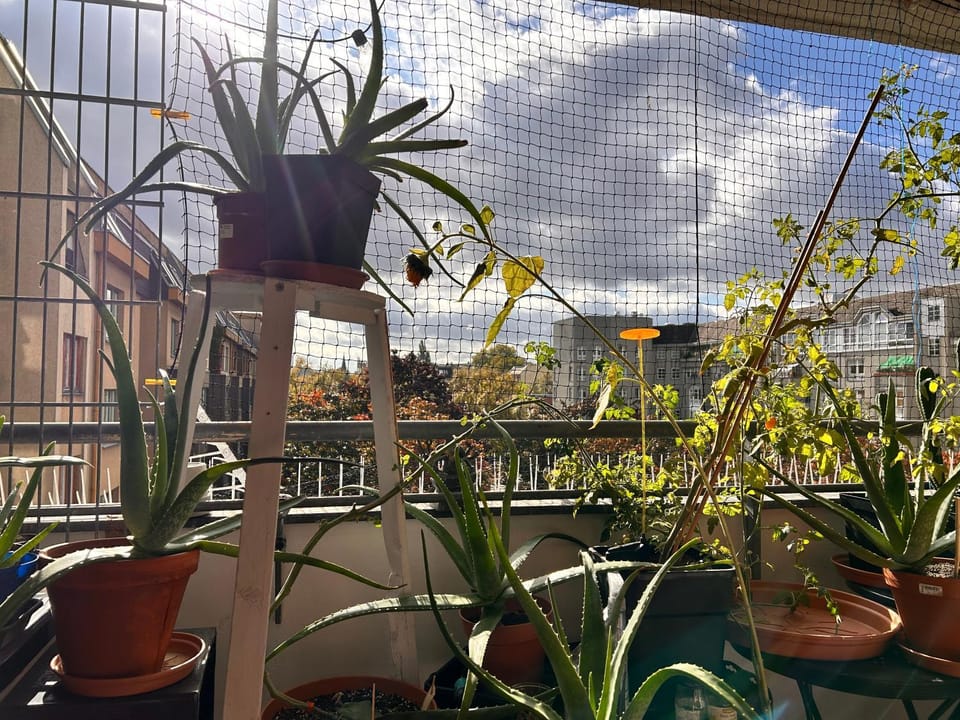 Balcony/Terrace