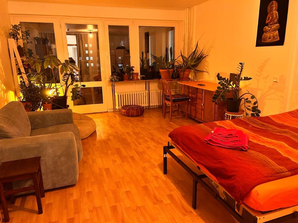 1 Zimmer mit Aussicht und 1 Zimmer mit Balkon in 4 Zimmer Wohnung, Szene, Parks und Top Lage Vacation rental in Berlin