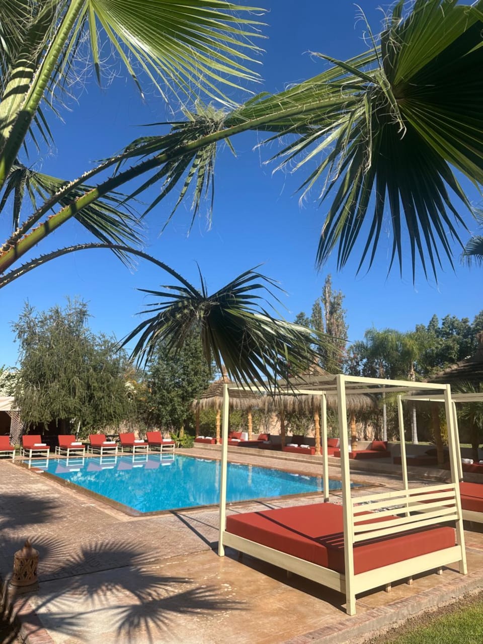Day, Pool view, Swimming pool, sunbed