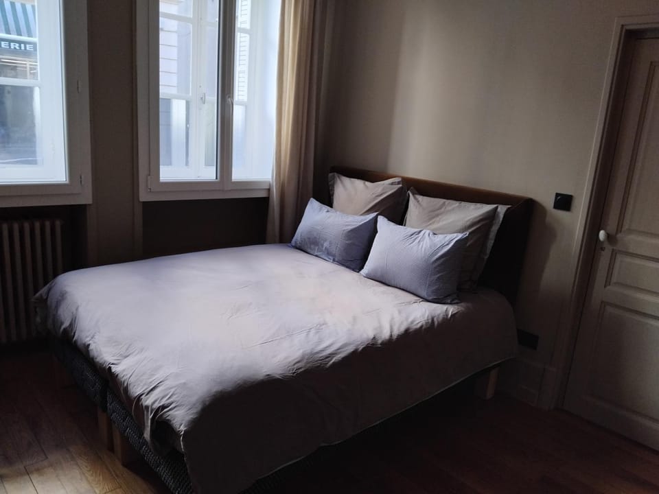Suite confortable plein cœur du village Capsule hotel in Bourgogne-Franche-Comté