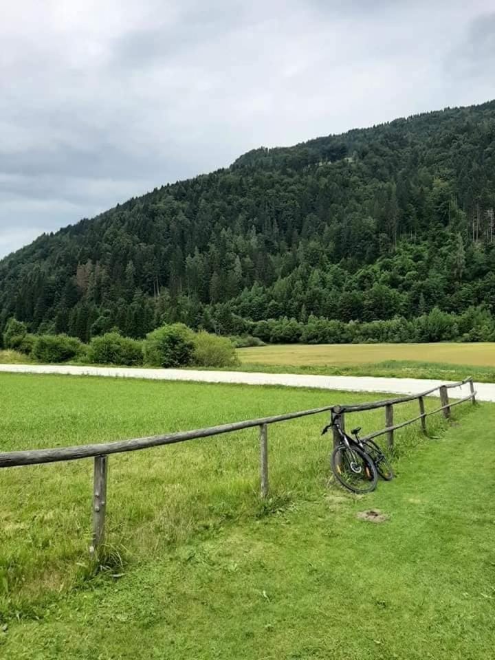 Natural landscape, Summer, Hiking, Cycling