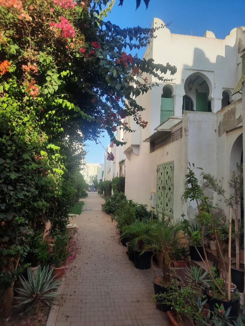 Garden view