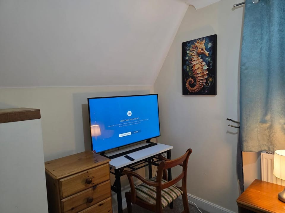 Communal lounge/ TV room, TV and multimedia